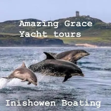 度假居 The Wee House *