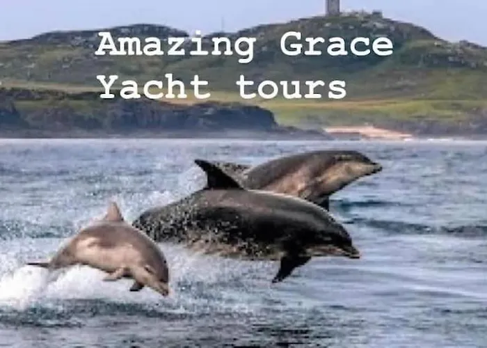 Сasa de vacaciones The Wee House *